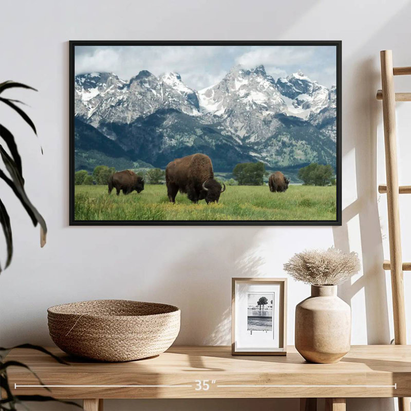 Bison Teton broutant, 25 po x 17 po, Cadre flottant noir