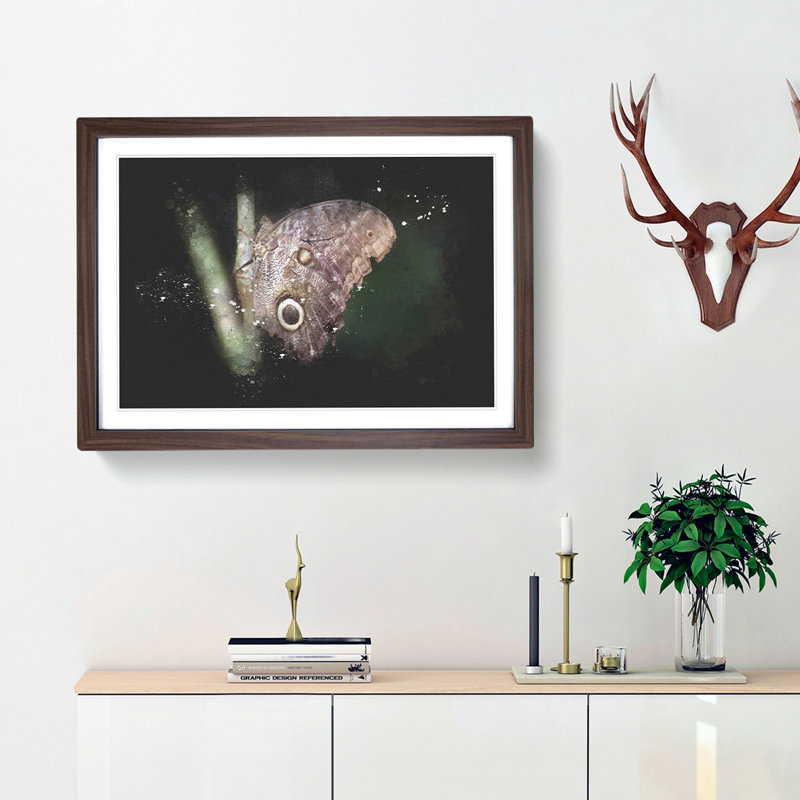 Beauty Of A Butterfly Paint Splash - Picture Frame Graphic Art, Walnut Framed, 62cm H x 87cm W x 2cm D