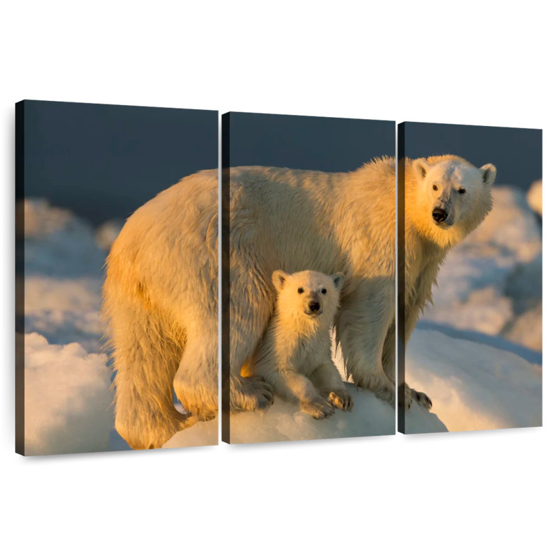 Brampt Nunavut Polar Bears, 36" H x 57" W
