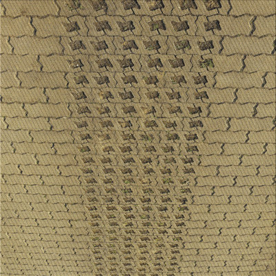 Geometric Indoor Rug
