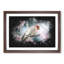 A House Finch Bird Paint Splash - Picture Frame Graphic Art-62784583-62784581
