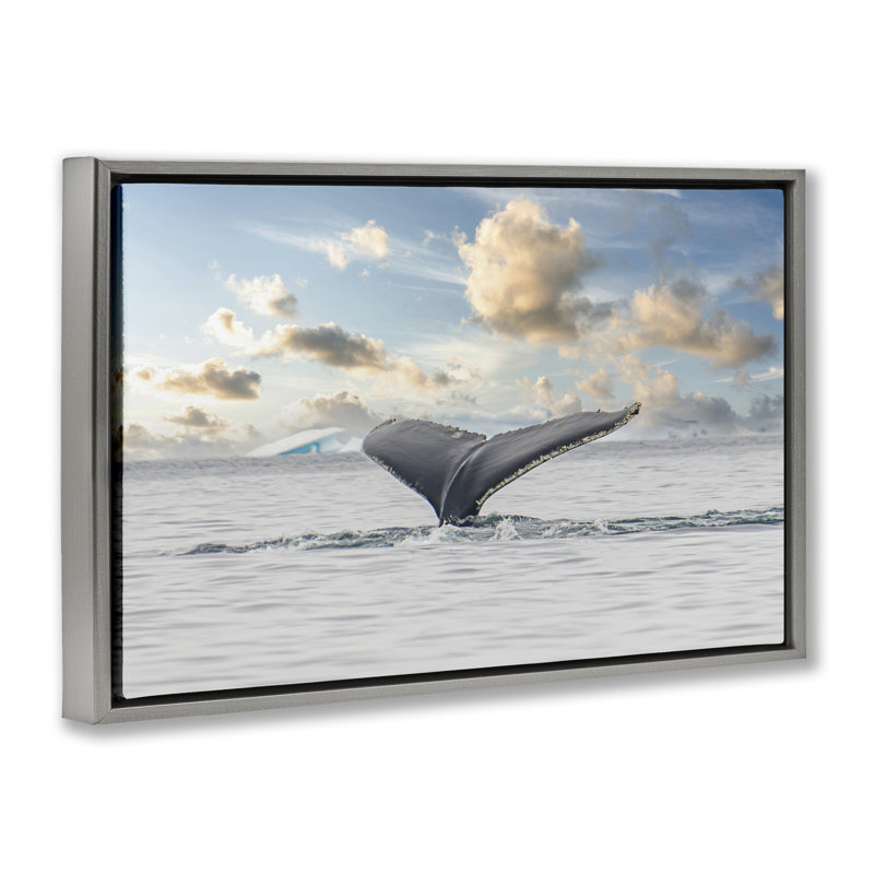 Cadre flottant Antarctica, Cadre flottant gris lustré, H 17 po x l 25 po