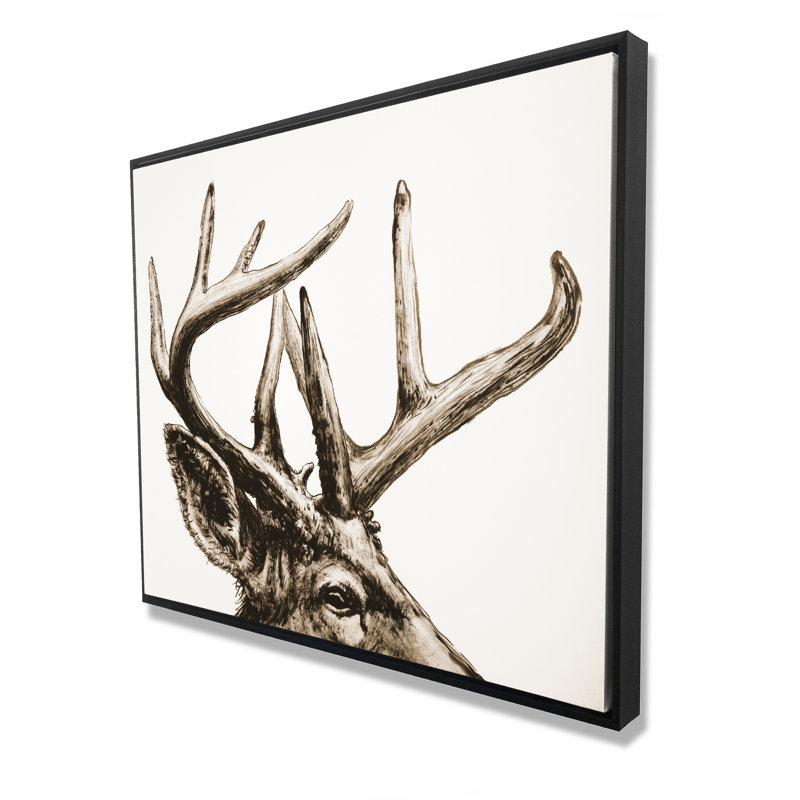 Roe Deer Plume sépia - Décoration sur toile encadrée | Art animalier