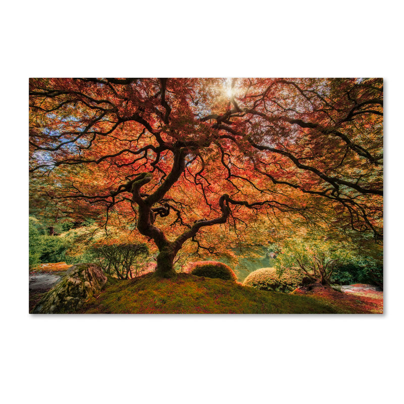 « the tree horizontal », reproduction de photo sur toile tendue, H 22 po x l 32 po