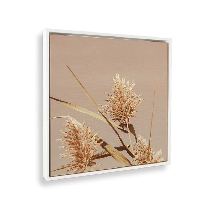 Champ d'or, Cadre flottant blanc opaque, H 12,75 po x l 12,75 po x P 1,75 po