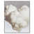 White Floater Frame is unavailable