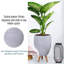 Multi-Directional Striped Egg Planter with Feet-590648293-590648292