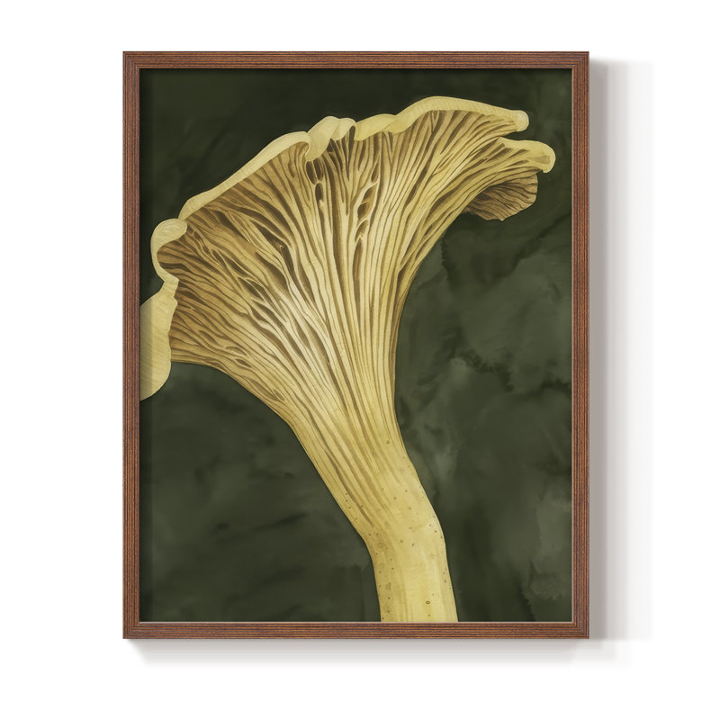 Chanterella I Framed Print - Solid Wood, Walnut, 30" H x 24" W