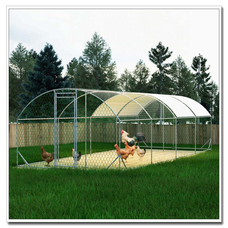 Grande cage à poulets en métal
