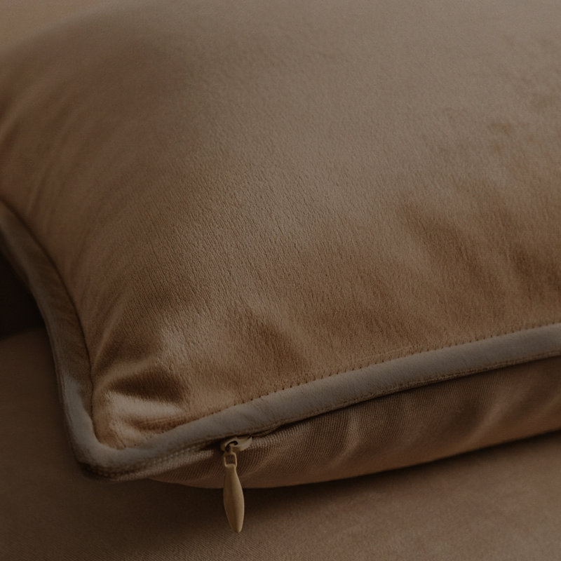 Housse de coussin décoratif en velours fin et luxueux a1h1h, 20 po x 20 po, Cacao