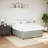 Latitude Run® Bed Frame Without Mattress  Velvet-800337733-798774092