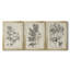 «Antique Black and White Botanical IV», ensemble de 3 peintures sur toile encadrées-508101474-508101479