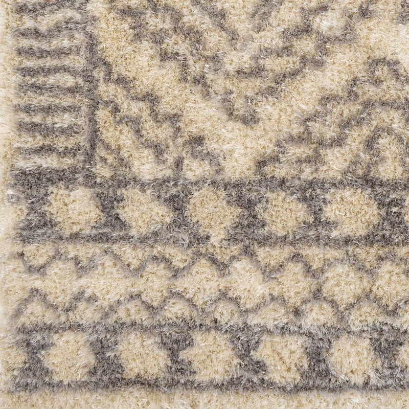 Aleman Southwestern Indoor Rug, Rectangle 2' x 3'