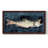 " Hungry Fish II "-1048200136