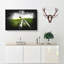Path To A Lone Tree - Wrapped Canvas-56648032