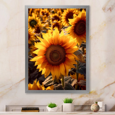 Tournesol doré au coucher du soleil III - impressions murales florales