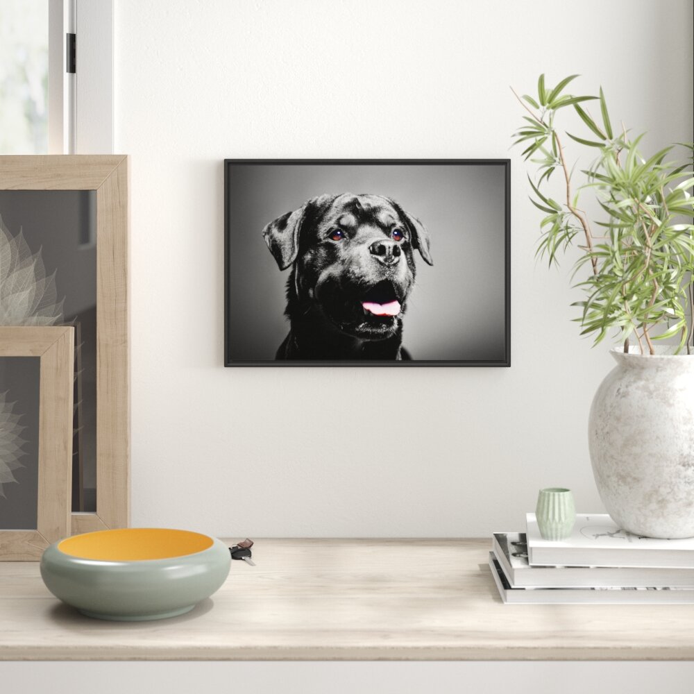 Gerahmtes Wandbild aufmerksamer Rottweiler