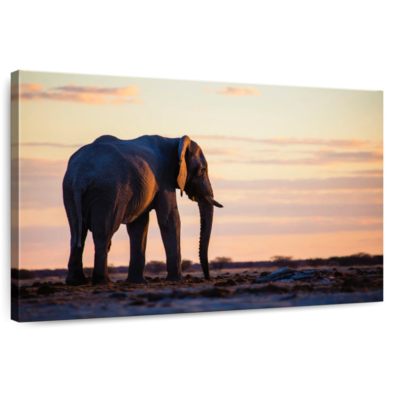 Éléphant solitaire Brampt, H 34 po x l 51 po