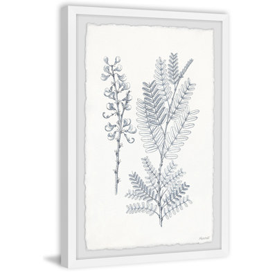 Indigo Botany Study VII 1 Piece Single Picture Frame Painting
