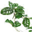 Fromage suisse artificiel Philodendron Monstera