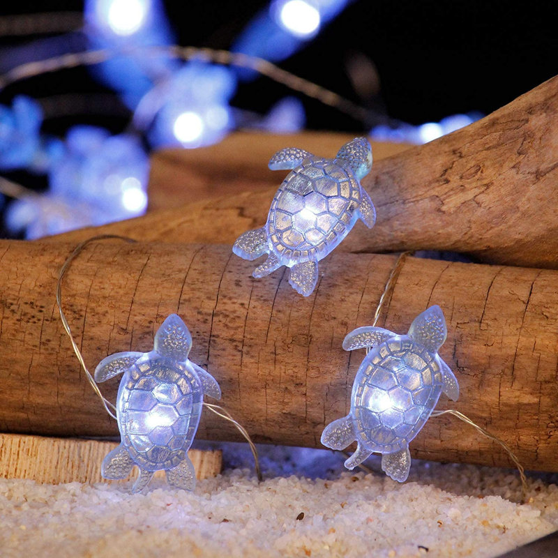 Sikander 40 - Bulb 10'' LED Novelty String Light
