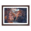 Stream Behind the Red Trees - Picture Frame Graphic Art Print-56706084-56706083