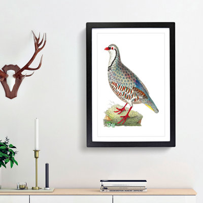 Red Partridge by George Shaw - Framed Print