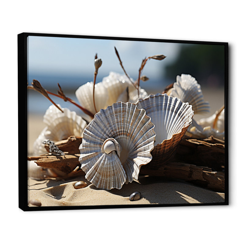 «Beach Photo Seashell Sonata II», reproduction d'art sur toile, H 16 po x l 32 po x P 1 po, Noir