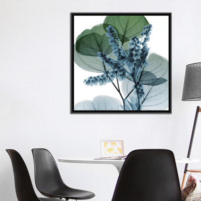 " Lilly Of Eucalyptus II " Color Photography Print