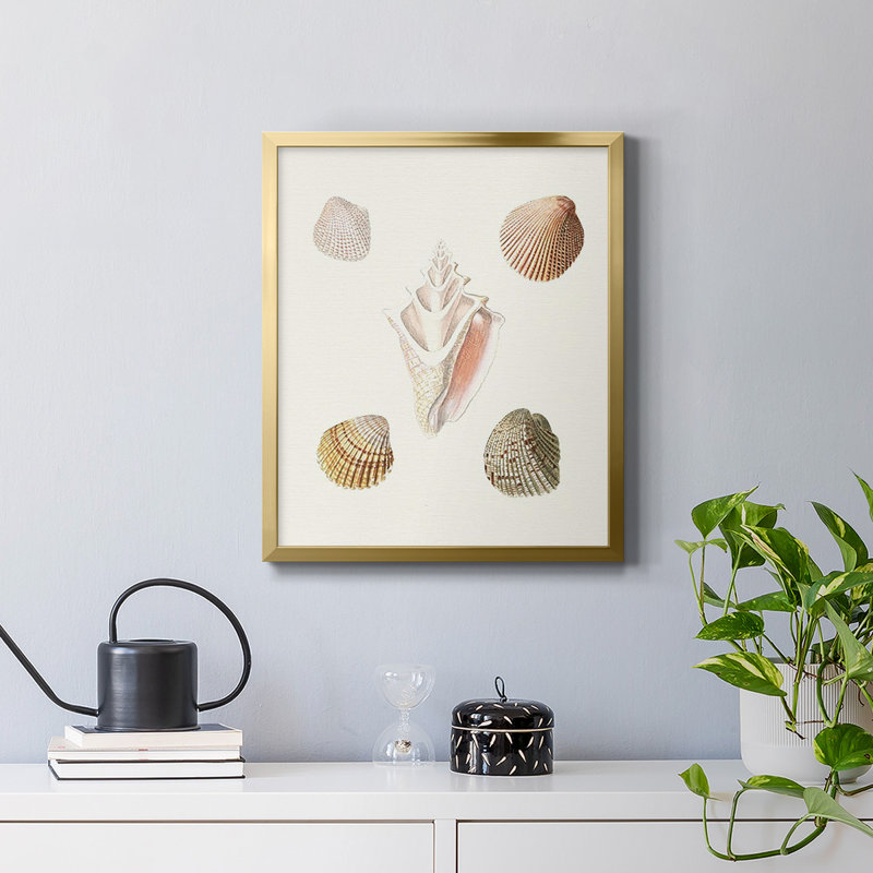 Toile encadrée Pastel Knorr Shells, H 24 po x l 20 po, Or