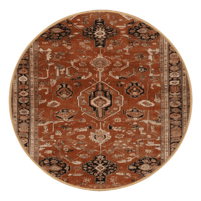 Machine Washable Persian Brown Area Rug