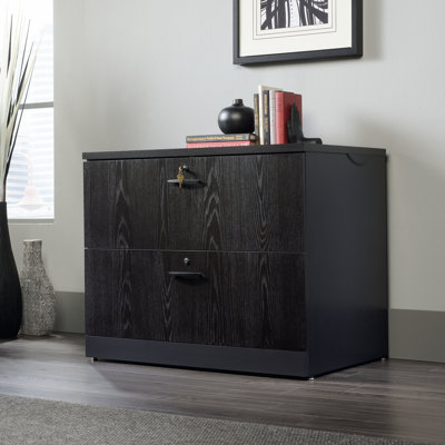 Castalia 15.5'' Wide 2 -Drawer Mobile File Cabinet