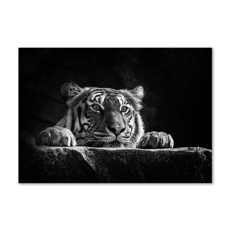 Tiger 1 Piece Wall Art on Canvas