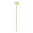 Green est en rupture de stock