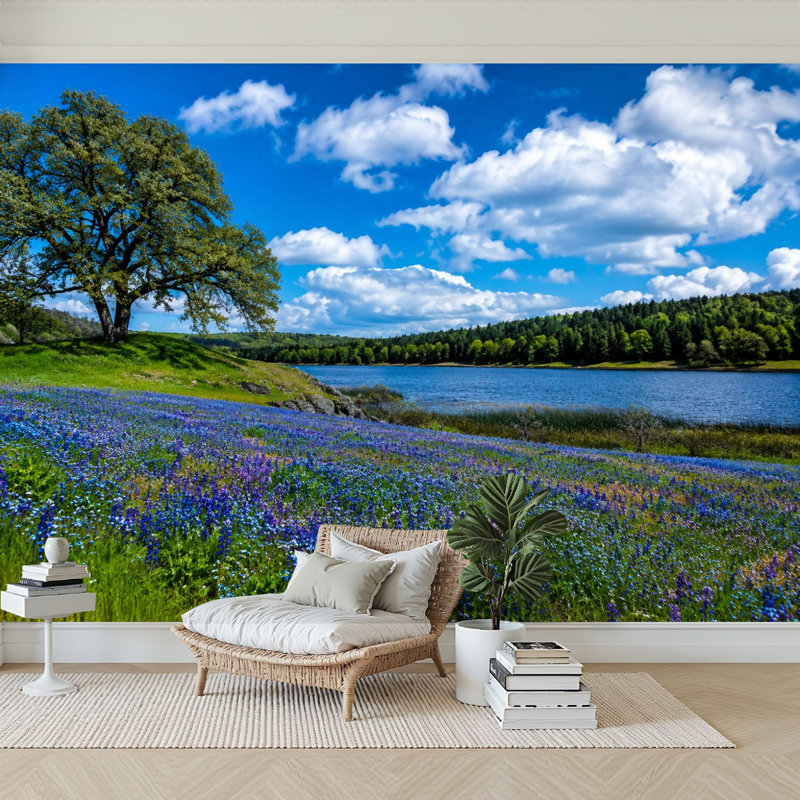 Papier peint adhésif auto-adhésif Texas Bluebonnets, L 69 po x l 96 po