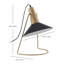 Lampe de table 17 po Delagarza