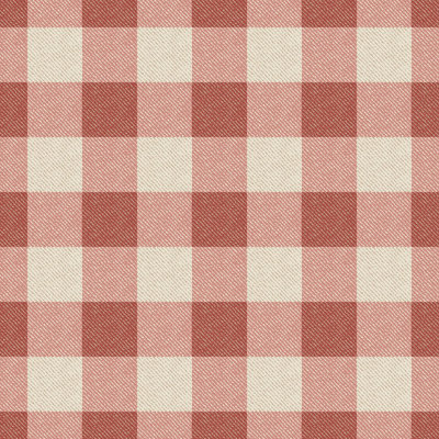 Washed Gingham