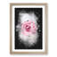 Lone Pink Rose Abstract Paint Splash - Picture Frame Graphic Art-56922856-56922855