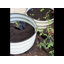 Potager surélevé modulaire en métal de 30 cm de haut (lot de 3), jardinière extérieure galvanisée de 60 x 60 cm pour légumes et fleurs-1974711451