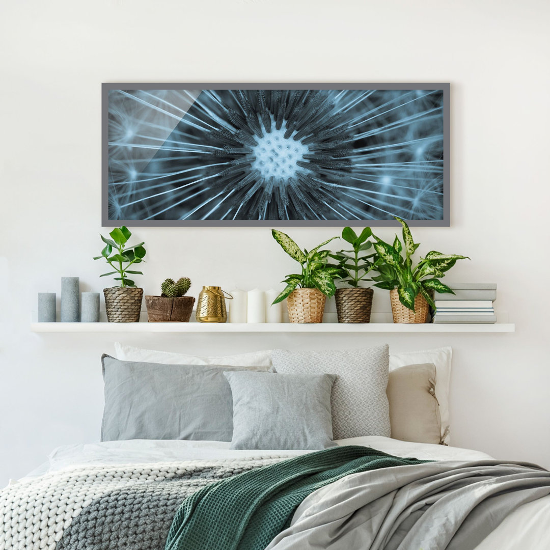 Gerahmtes Poster Blue Tinted Dandelion