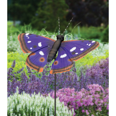 Jouet Tête à Coiffer De Luxe Ladybug IMC TOYS : Le Jouet à Prix