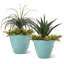 Ensemble de 2 pots à fleurs ronds 19,5 po-995547854-995547855
