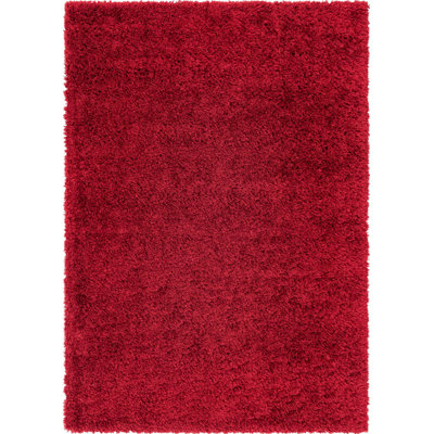 Indoor Rug