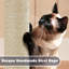 Multilevel  Cat Tree-1102423005