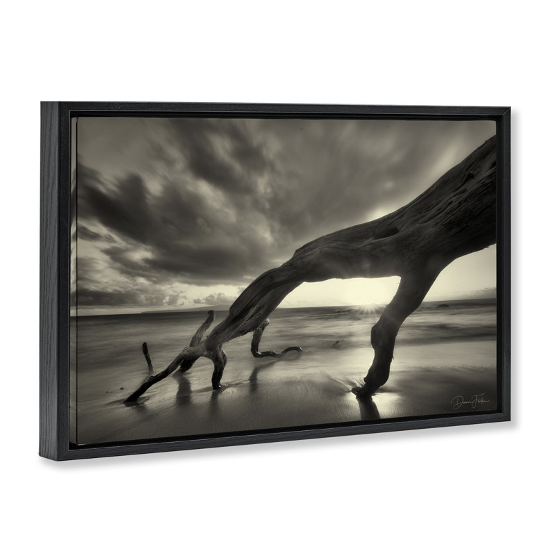 Toile flottante encadrée «Tree Trunk on Shore» par Dennis Frates, Cadre flottant noir de jais, H 17 po x l 25 po