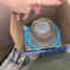 Customer photo 2 of 2