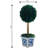 Boxwood Plant in Ceramic Pot-1356306879