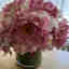 Customer photo 1 of 4