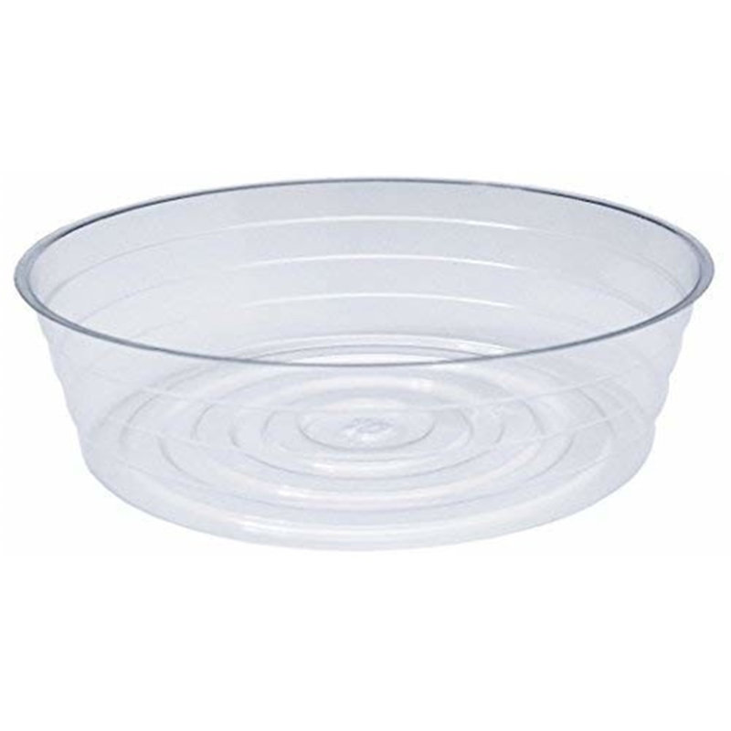 Saucer Plant Stand