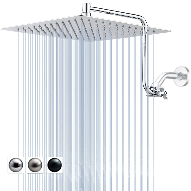 Rain Adjustable Shower Head 2.5 GPM GPM, Chrome